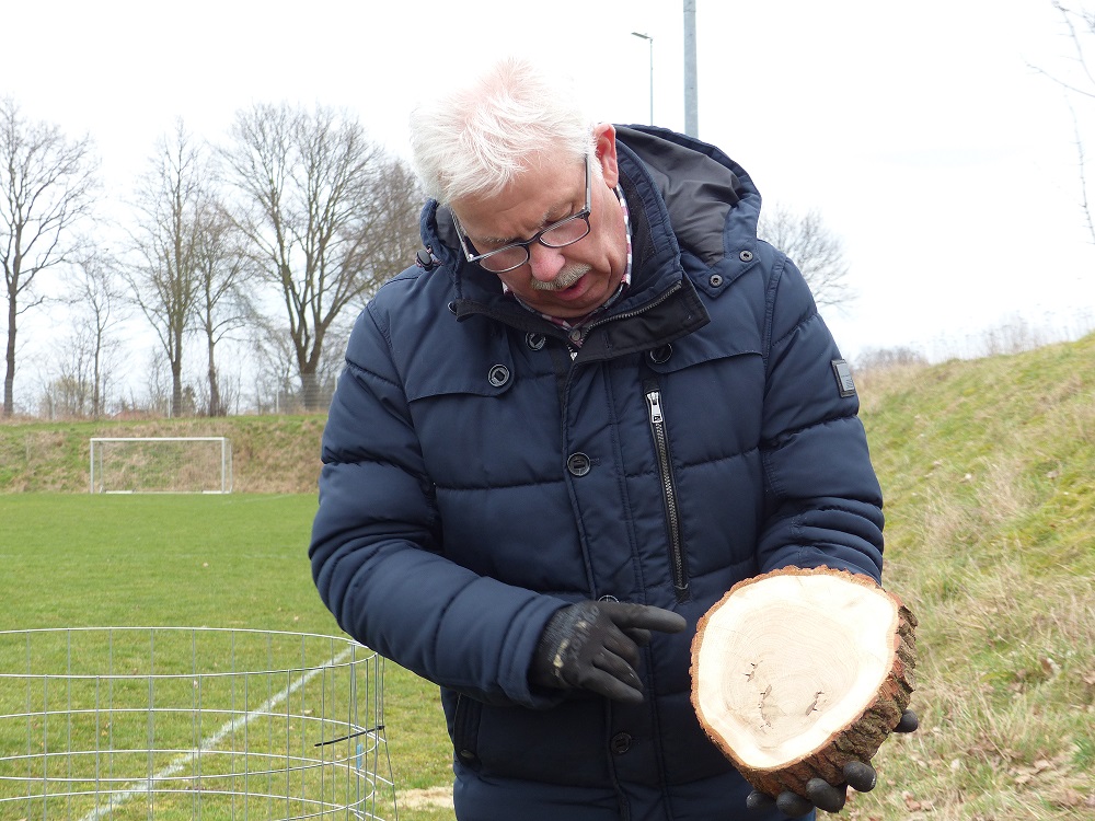 2023 03 20 Feldahorn wird eingepflanzt 12